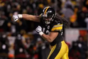 Home 15 Troy Polamalu