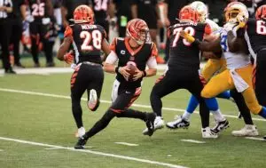 Home 4 Cincinnati Bengals Off-Season Needs