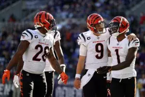 Home 13 Cincinnati Bengals