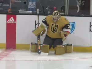 Home 7 Goalie Tandems in the Pacific Division