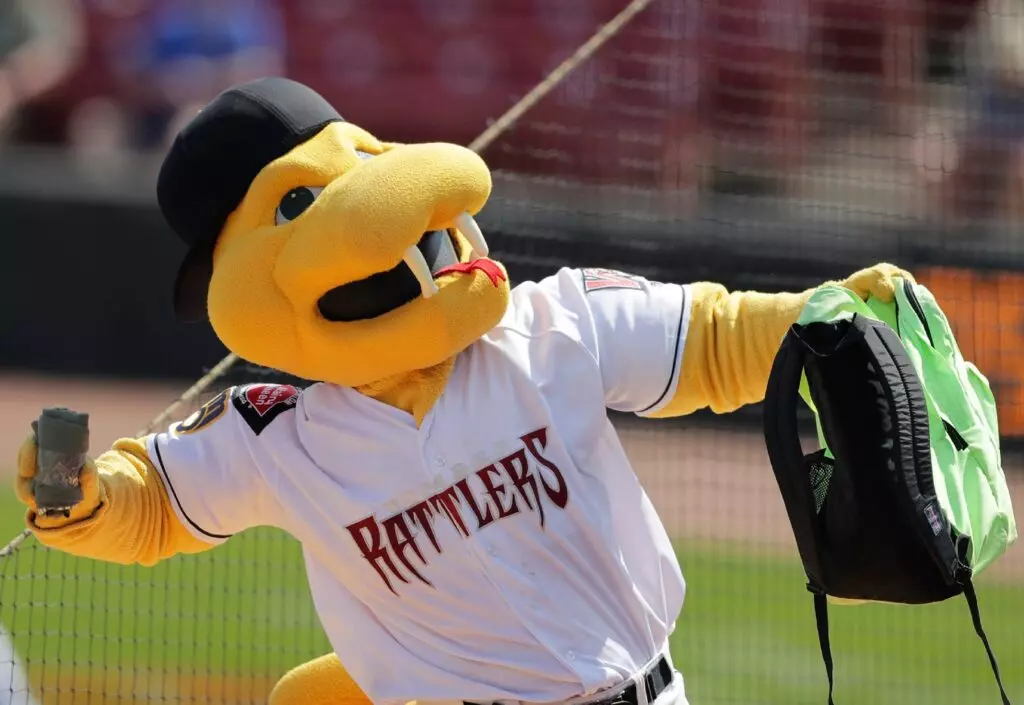 Minor League Baseball