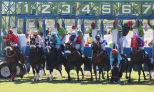Home 4 horse racing 2357027 960 720