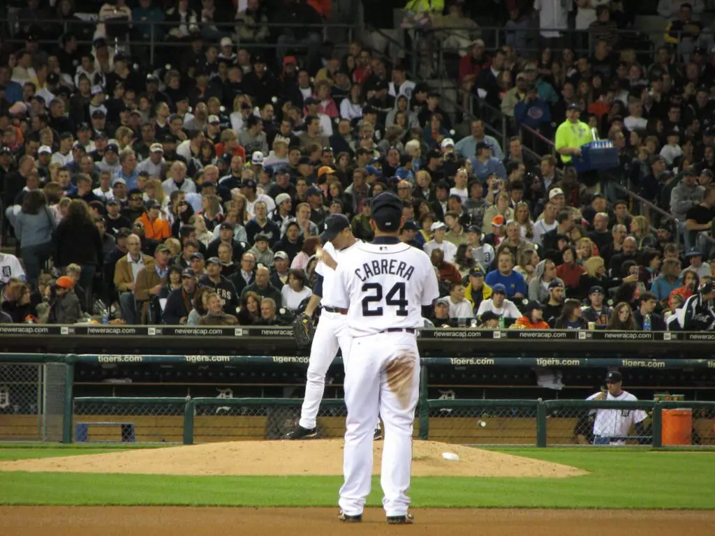 2481210917 bc8c03cd6a k