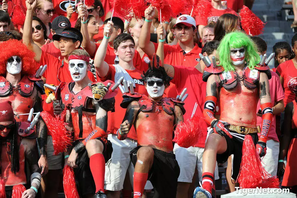 15217631898 fed2361521 b