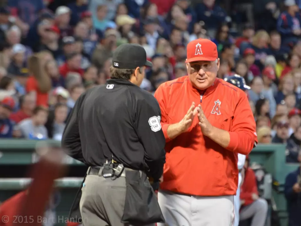 17479754304 86263c5f3f k