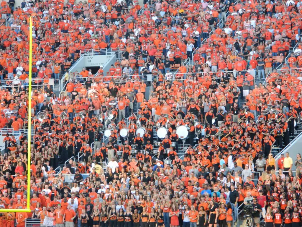 Bedlam loss