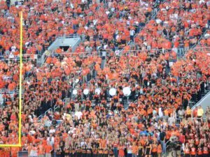 Bedlam loss