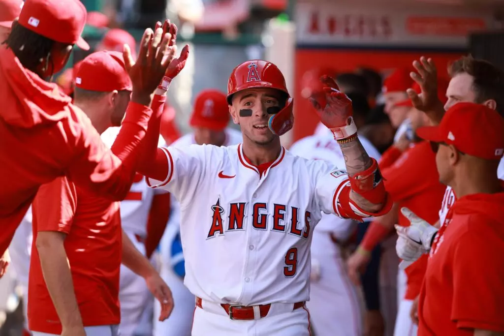 Mike Trout injury