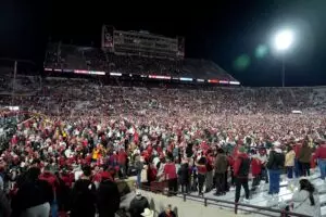 Home 5 Best Bets Week 1