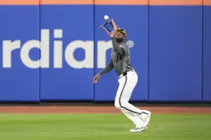Mets center field Luis Robert Jr.