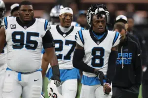 Panthers defense