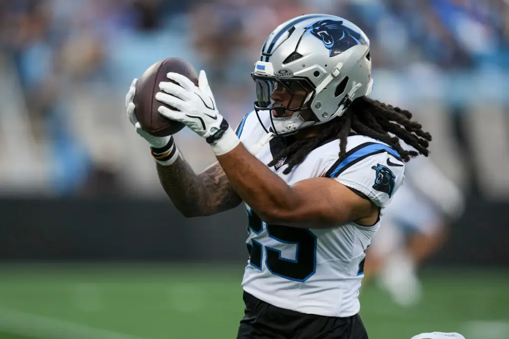 Panthers training camp standouts
